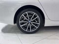 BMW 3 Series 320Li M Sport Package - ფოტო 19
