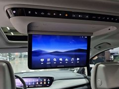 Buick GL8 Luzun Respect Edition - ფოტო 14