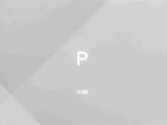 Li Auto L6 2025 Pro Smart Refresh Edition - ფოტო 11