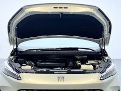 Buick GL8 New Energy Lusang Respect Edition - ფოტო 17