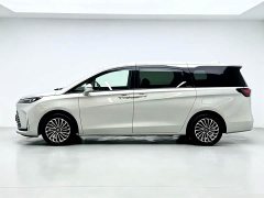 Buick GL8 New Energy Lusang Respect Edition - ფოტო 20
