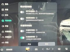 Lynk & Co 01 2.0T Diesel Two-Wheel Drive Global Pro - ფოტო 17