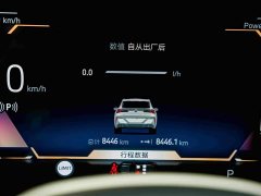 BMW X3 xDrive25L Luxury Package - ფოტო 10