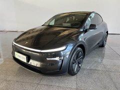 Tesla Model Y Rear-Wheel Drive - ფოტო 5