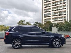 BMW X3 xDrive30i Premier M Sport Package - ფოტო 17