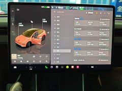 Tesla Model Y Rear-Wheel Drive - ფოტო 8