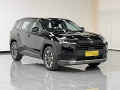 Toyota RAV4 2.0L FWD Luxury - ფოტო 7