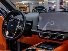 Li Auto L8 Max - ფოტო 9