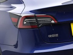 Tesla Model 3 Standard Range RWD Upgrade - ფოტო 7