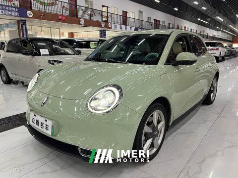 2022 ORA Good Cat Morandi Edition 400km Standard Range Deluxe Type LFP Battery - ავტომობილი ჩინეთიდან