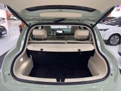 ORA Good Cat Morandi Edition 400km Standard Range Deluxe Type LFP Battery - ფოტო 15