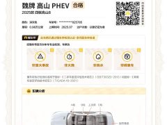 Great Wall WEY Shanshan New Energy Four-Wheel Drive Shanshan 8 - ფოტო 19