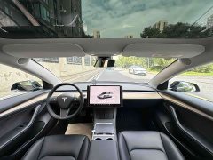 Tesla Model 3 2022 Rear-Wheel Drive - ფოტო 16