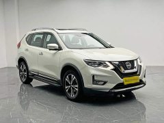 Nissan Qashqai 2.5L CVT 4WD XL ITS Luxury Pilot Edition - photo 8