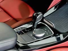 BMW X4 xDrive 30i M Sport Package - ფოტო 19