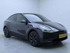 Tesla Model Y Rear-Wheel Drive - ფოტო 3