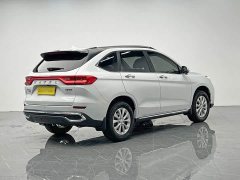 Haval M6 PLUS 1.5T DCT Luxury Smart Connected Edition - ფოტო 6