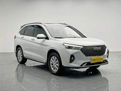 Haval M6 PLUS 1.5T DCT Luxury Smart Connected Edition - ფოტო 8