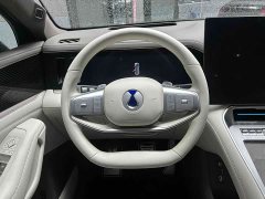 Denza BYD Denza N8L Flagship - ფოტო 8