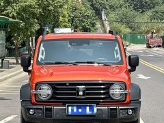 Tank 300 2.0T Challenger - ფოტო 2
