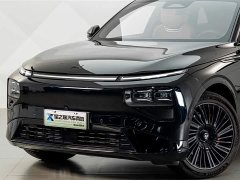 XPeng G9 725 Max - ფოტო 2