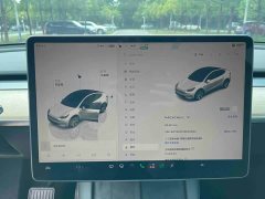 Tesla Model Y Rear-Wheel Drive - ფოტო 14