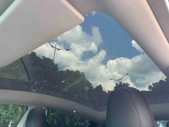 Tesla Model Y Rear-Wheel Drive - ფოტო 16