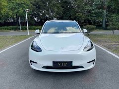 Tesla Model Y Rear-Wheel Drive - ფოტო 2
