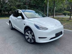 Tesla Model Y Rear-Wheel Drive - ფოტო 3
