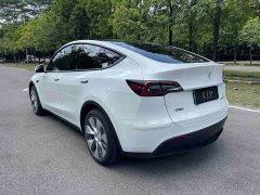 Tesla Model Y Rear-Wheel Drive - ფოტო 4