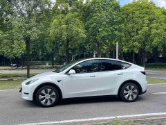 Tesla Model Y Rear-Wheel Drive - ფოტო 7