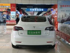 Tesla Model Y 2022 Rear-Wheel Drive - ფოტო 19