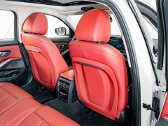 BMW 3 Series 320Li M Sport Package - ფოტო 19