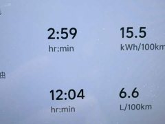 Li Auto L6 Max - ფოტო 9
