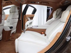 Tesla Zun S800 Extended Range Starlight Executive Edition 4-Seater (192-line LiDAR) - ფოტო 7