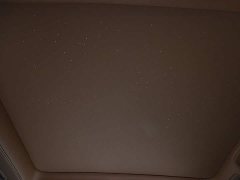 Tesla Zun S800 Extended Range Starlight Executive Edition 4-Seater (192-line LiDAR) - ფოტო 8
