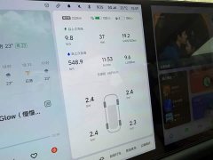 Li Auto L9 Max - ფოტო 4