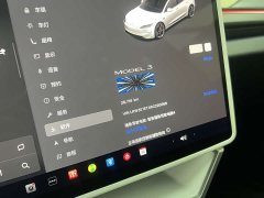 Tesla Model 3 High Performance All-Wheel Drive - ფოტო 12