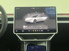 Tesla Model 3 High Performance All-Wheel Drive - ფოტო 17