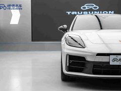 Porsche Panamera 2.9T - ფოტო 8