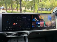 Li Auto L8 Pro - ფოტო 14