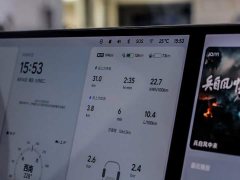Li Auto L7 Max Smart Refresh Edition - ფოტო 9