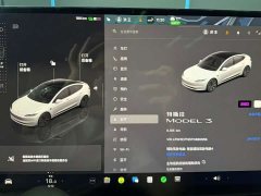 Tesla Model 3 2025 Rear-Wheel Drive - ფოტო 12