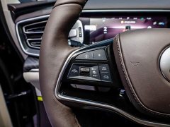 Denza BYD Denza D9 PIONEER Four-Seat Pioneer Edition - ფოტო 16