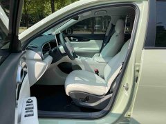 Geely Xing Yuan UP 410km Explorer Edition - ფოტო 8