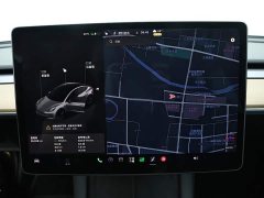 Tesla Model 3 Standard Range RWD Upgrade - ფოტო 12