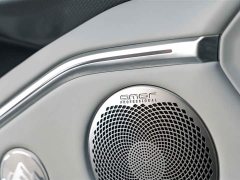 Tank 700 New Energy Hi4-Z Ultimate Edition - ფოტო 20