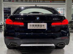 BMW 5 Series 530Li Premier M Sport Package - ფოტო 15