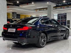 BMW 5 Series 530Li Premier M Sport Package - ფოტო 16