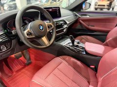 BMW 5 Series 530Li Premier M Sport Package - ფოტო 5